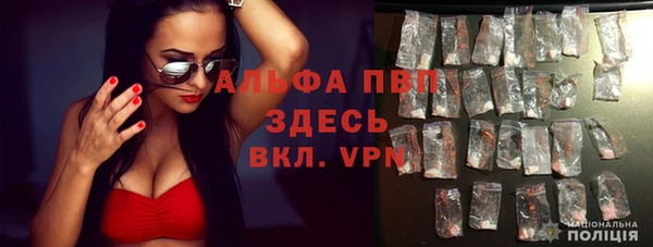 шишки Беломорск
