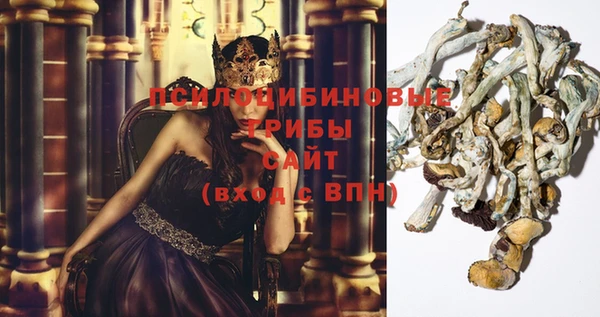 шишки Беломорск