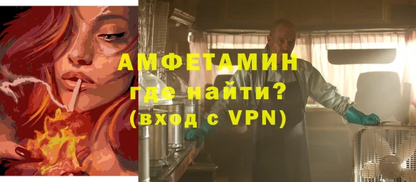 шишки Беломорск
