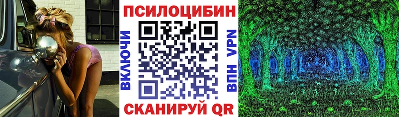 omg маркетплейс  Славгород  Псилоцибиновые грибы ЛСД 